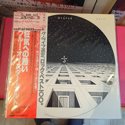 LPۥ֥롼/ؤͶ('72/)