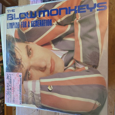 LPۥ֥󥭡/ԥ󥰡եͥ졼('84/)
