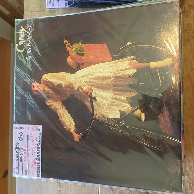 LP۾/ǥ('82)