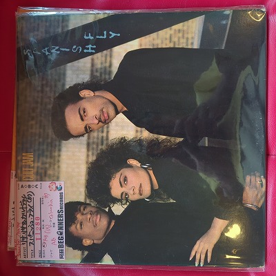 LPۥꥵꥵ&ȥ/ѥ˥å塦ե饤('87/US)