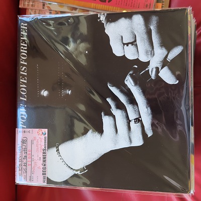 LPۥӥաХ󡦥ѥ/֡եС('88/UK)