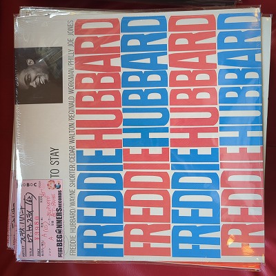LPۥեǥϥС/ҥȥƥ('62/US)