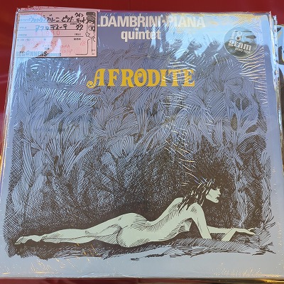 LPۥХ֥꡼ˡԥʡƥå/եǥ('77/Italy/̺ȯ)