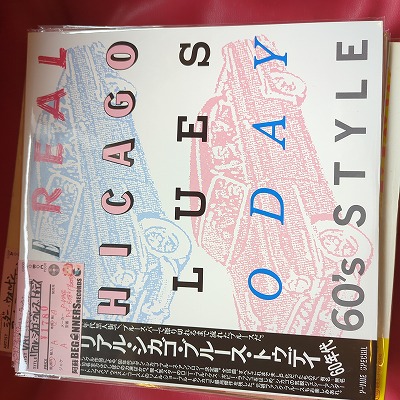 LP-VAۥꥢ롦֥롼ȥǥ/ܥӡå塢¾()