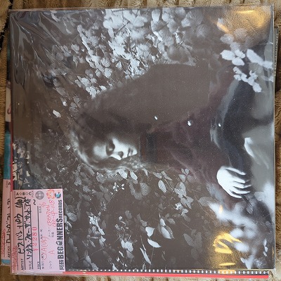 LPۥӥաХ󡦥ѥ/󥰥եåɡɡ('90/UK)