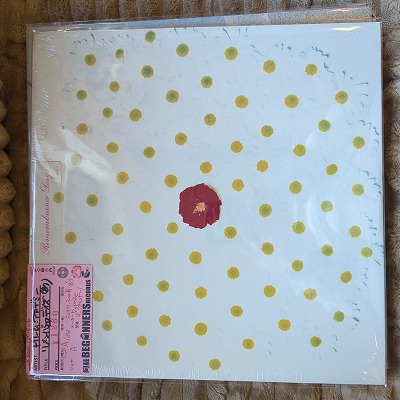 LPۥɥ꡼ࡦǥߡ/Х󥹡ǥ('87/US)