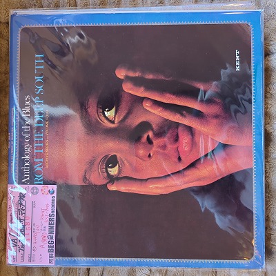 LP-VAۥ֥롼եࡦǥס(US)