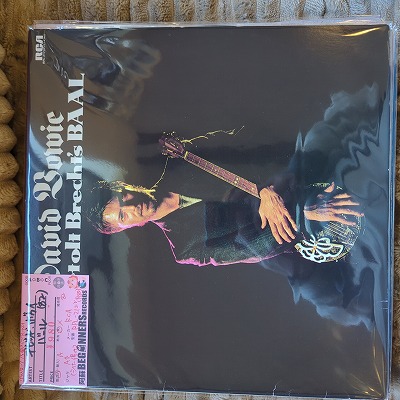 LPۥǥӥåɡܥ/С('82/)