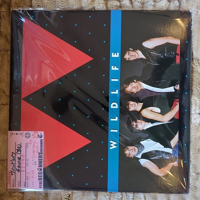 ��LP�ۥ磻��ɥ饤��/Same('83/Import)