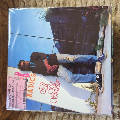 ��LP�ۥ���å�����ǥ��å���/�����롦�ӡ���������������('94/Import)