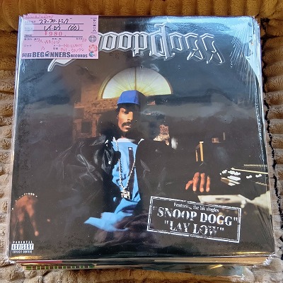 ��12inch�ۥ��̡��ץɥå�/�쥤������('00/US��)