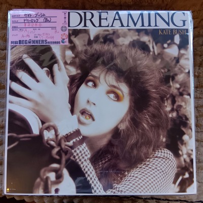 ��LP�ۥ����ȡ��֥å���/�ɥ꡼�ߥ�('82/US��)