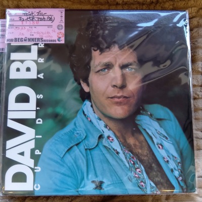 ��LP�ۥǥӥåɡ��֥롼/���塼�ԥå���������('76/US��)