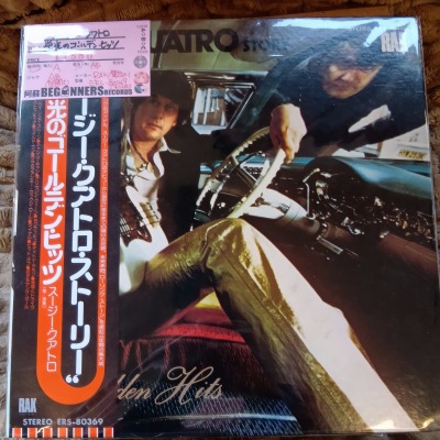 ��LP�ۥ�������������ȥ�/�ɸ��Υ�����ǥ󡦥ҥå�(����������)