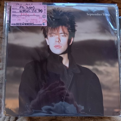 ��12inch�ۥ����󡦥ޥå�����/���ץƥ�С�������('84/UK��)