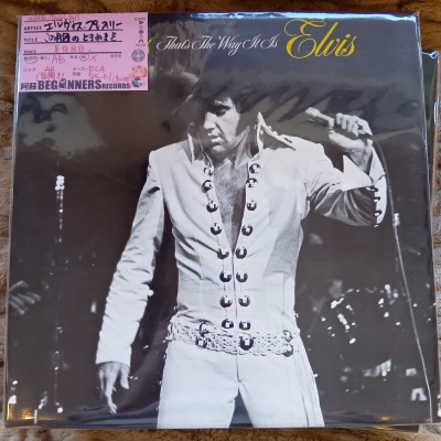 ��LP�ۥ�����������ץ쥹�꡼/���ζ��ΤȤ��᤭��(������)