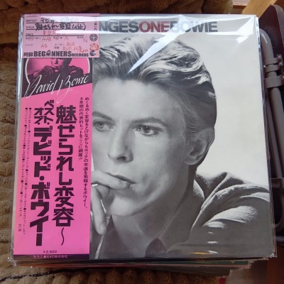 ��LP�ۥǥӥåɡ��ܥ���/̥����줷����-�٥���(���������դ�)