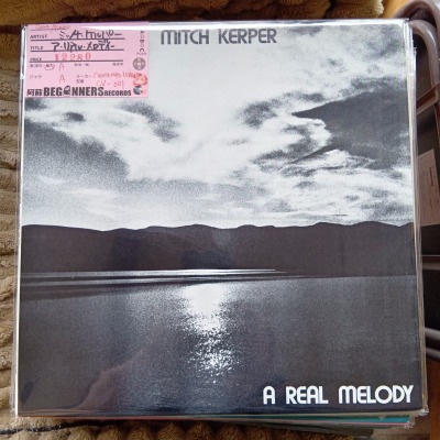 ��LP�ۥߥå�������ѡ�/�����ꥢ�롦����ǥ���(Import)